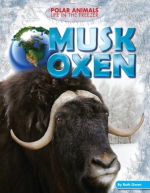 Musk Oxen