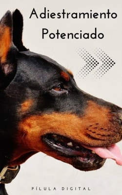 Adiestramiento Potenciado
