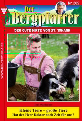 Der Bergpfarrer 205 – Heimatroman