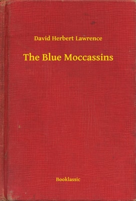 Blue Moccassins