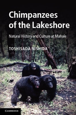 Chimpanzees of the Lakeshore