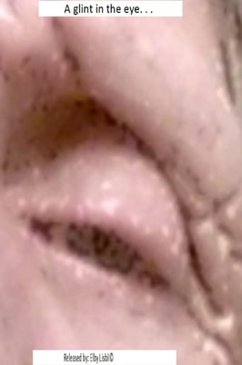 Glint in the Eye. . .