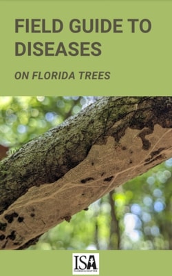Field Guide to Diseases on Florida Trees