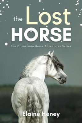 Lost Horse - Book 6 in the Connemara Horse Adventure Series for Kids