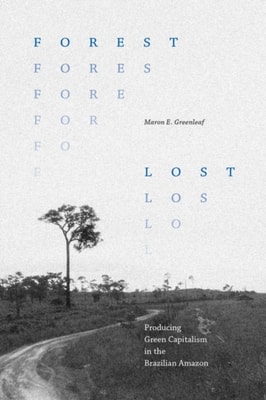 Forest Lost