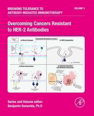 Overcoming Cancers Resistant to HER-2 Antibodies