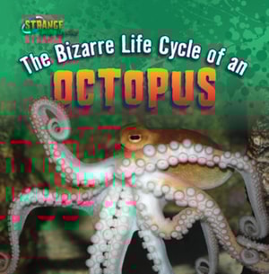Bizarre Life Cycle of an Octopus