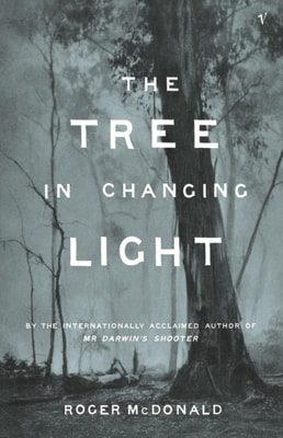 Tree In Changing Light
