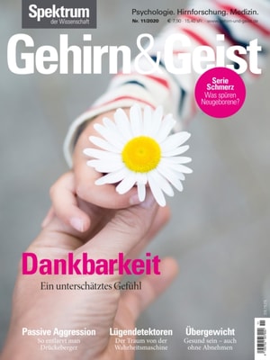 Gehirn&Geist 1/2021 Stille