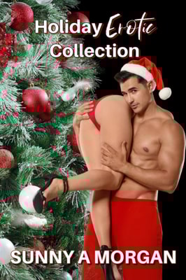 Holiday  Erotica Collection