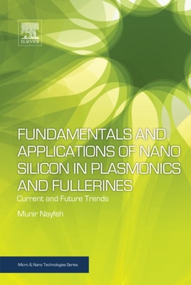 Neurophotonics and Biomedical Spectroscopy