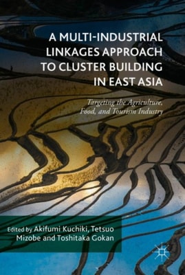 Multi-Industrial Linkages Approach to Cluster Building in East Asia