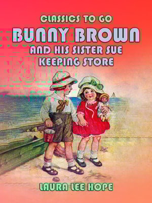 Bunny Brown And His Sister Sue Keeping Store