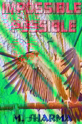 Impossible Possible