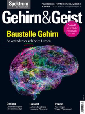 Spektrum Kompakt - Blick in die Zukunft