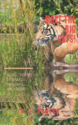 Meet The Big Cats!