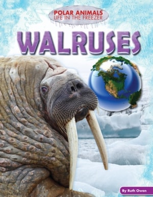 Walruses