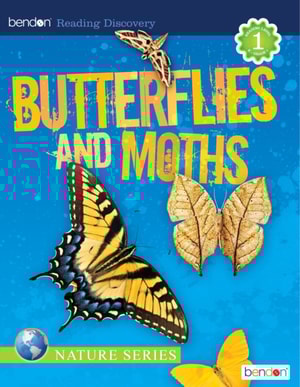 Butterflies and Moths
