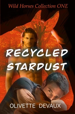 Recycled Stardust - Wild Horses Collection One