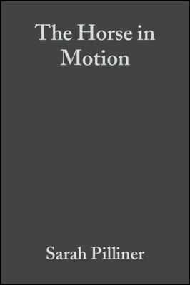 Horse in Motion