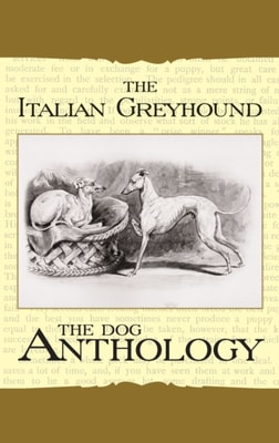 Italian Greyhound: A Dog Anthology
