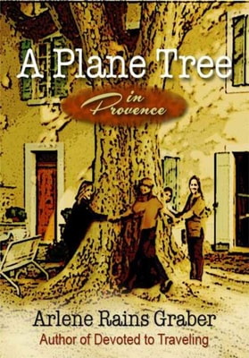 Plane Tree in Provence