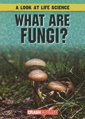 What Are Fungi?