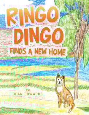 Ringo Dingo Finds a New Home