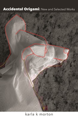 Accidental Origami