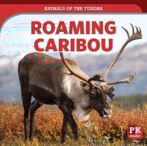 Roaming Caribou