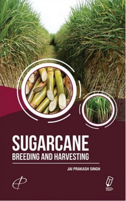 Sugarcane : Breeding and Harvesting
