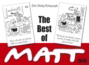 Best of Matt 2019