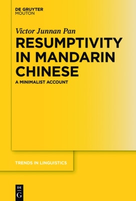 Vanishing Viscosity Method