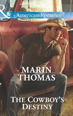 Cowboy's Destiny