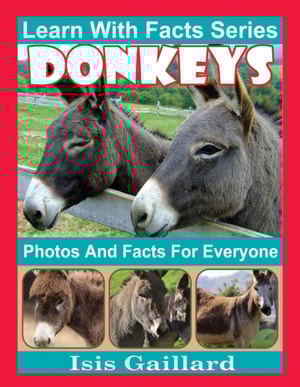 Donkeys Photos and Facts for Everyone