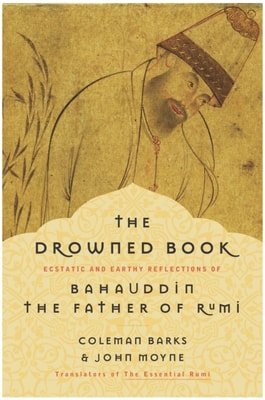Drowned Book