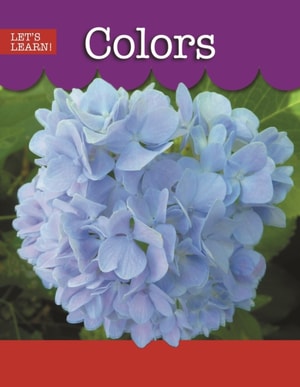 Colors