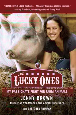 Lucky Ones