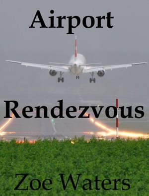 Airport Rendezvous