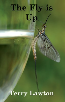 Fly is Up