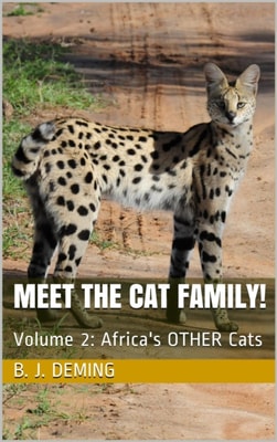 Meet the Cat Family!:  Africa's Other Cats