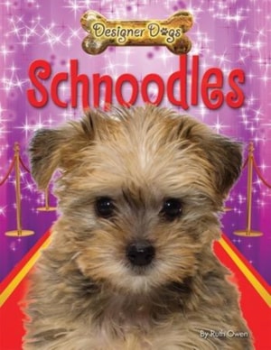 Schnoodles
