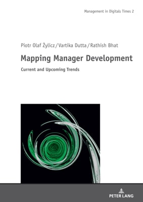 Mapping Manager Development
