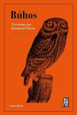 Búhos