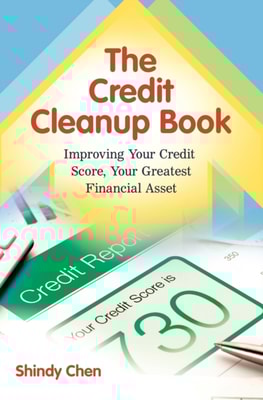 Credit Cleanup Book
