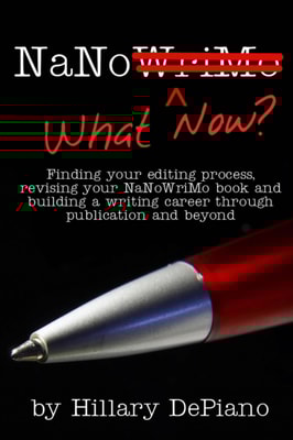 NaNo What Now? Finding Your Editing Process, Revising Your NaNoWriMo Book and Building a Writing Career Through Publishing and Beyond