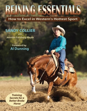 Physical Therapy for Horses