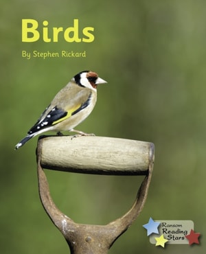 Birds (Ebook)
