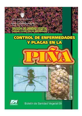Control de enfermedades y plagas en la piña