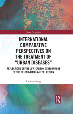International Comparative Perspectives on the Treatment of &quote;Urban Diseases&quote;